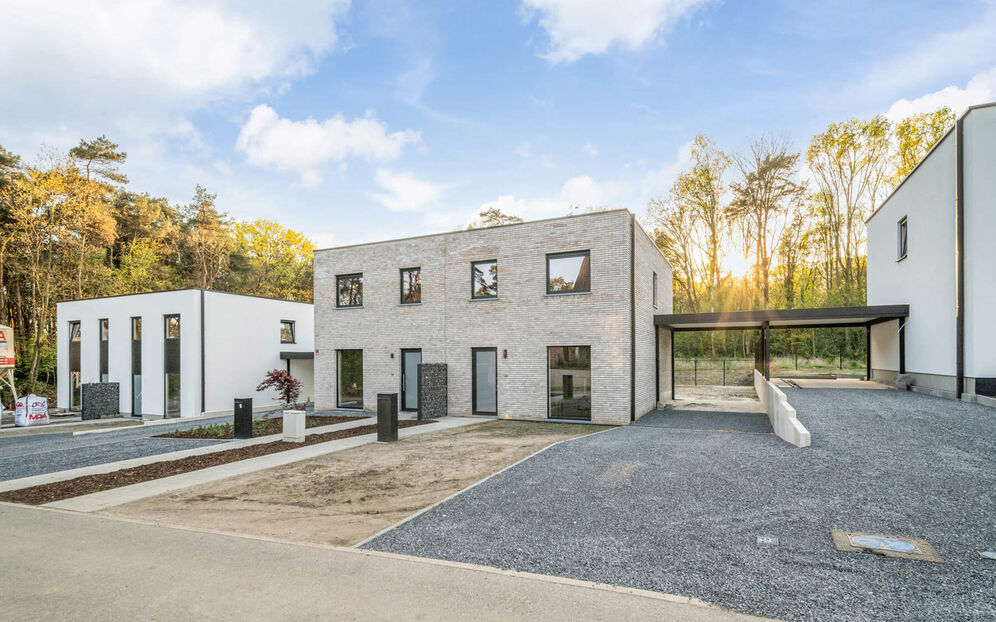 Armand Wittersstraat in Houthalen-Helchteren