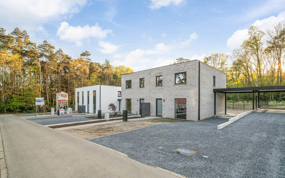 Armand Wittersstraat in Houthalen-Helchteren